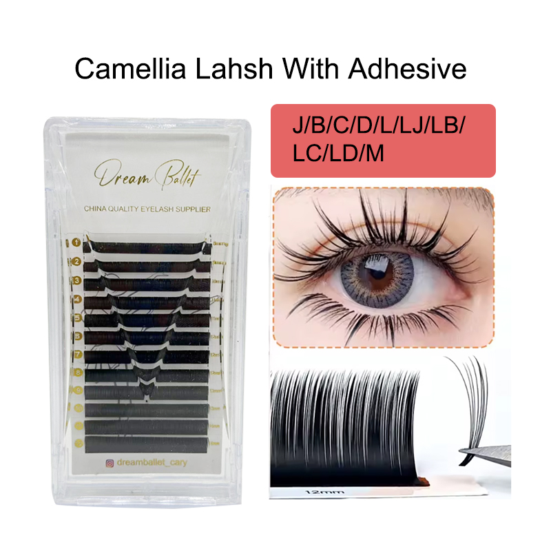 Eyelash Extension For Asian Eyes - dream ballet Camellia Lashes with Adhesive