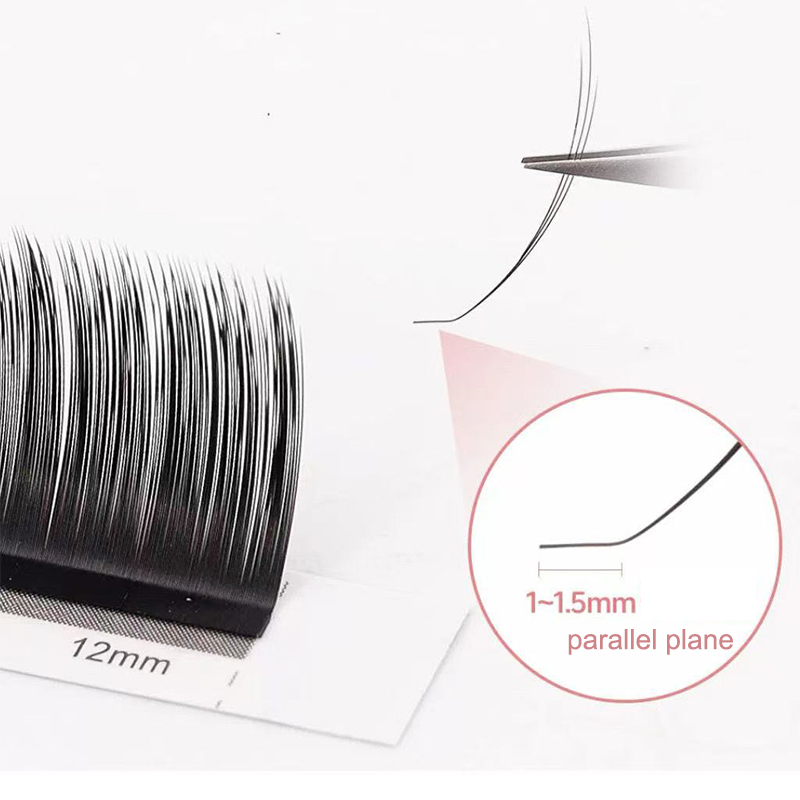 dream ballet Camellia Lashes w - огляд і ціна Eyelash Extension For Asian Eyes