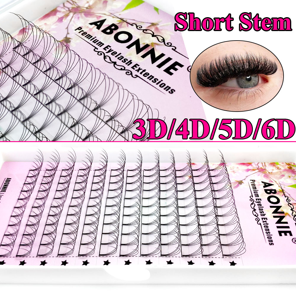 Abonnie 6D Narrow Fan Premade  - огляд і ціна Eyelash Extension For Asian Eyes