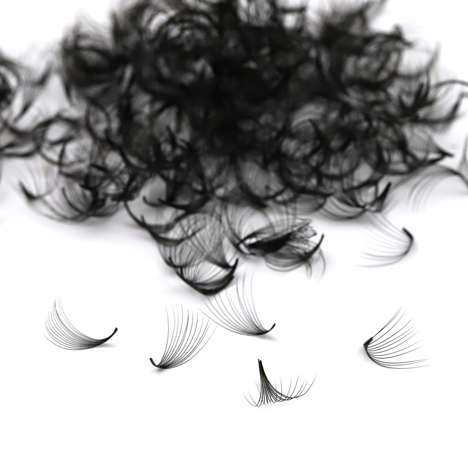 AGUUD 30D 40D Cluster Loose Fa - огляд і ціна Eyelash Extension For Asian Eyes