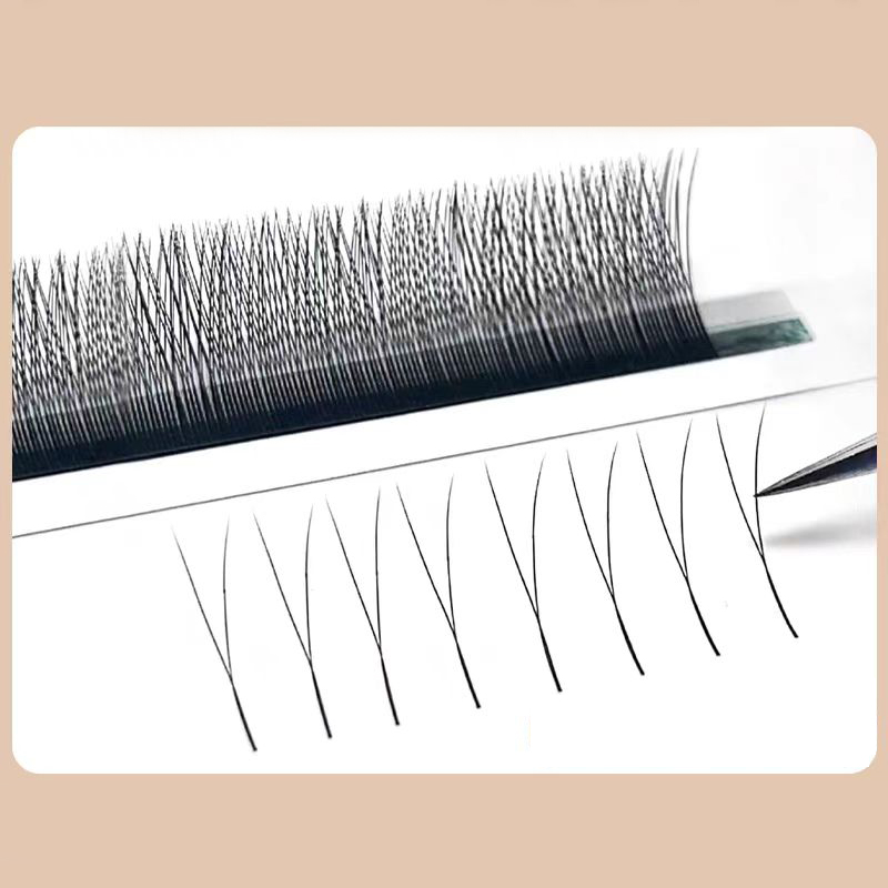 MARIA 2D Y Shape Eyelashes Han - огляд і ціна Eyelash Extension For Asian Eyes