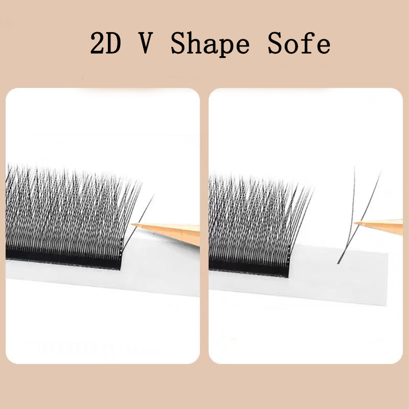 MARIA 2D Y Shape Eyelashes Han - огляд і ціна Eyelash Extension For Asian Eyes