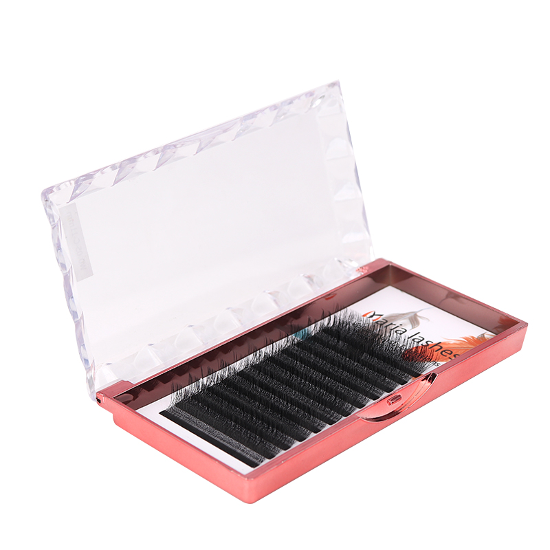 MARIA 10 Cases 4D W Shaped Bea - огляд і ціна Eyelash Extension Fan