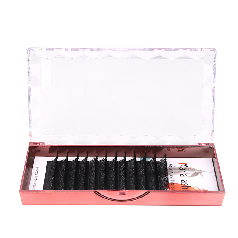 MARIA 10 Cases 4D W Shaped Bea - огляд і ціна Eyelash Extension Fan